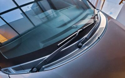 Was stellt im Frühling und Sommer eine Gefahr für Autoglas dar?